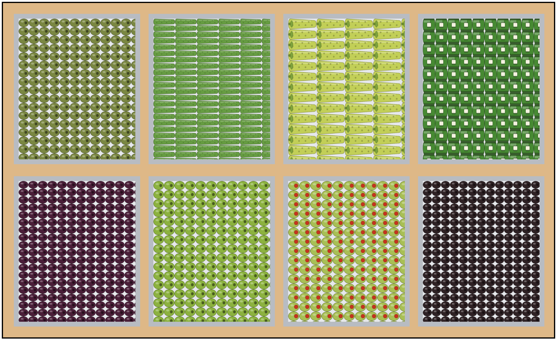 An olive bar: eight Resize Containers on a Topdown Surface, each holding one olive, tiled